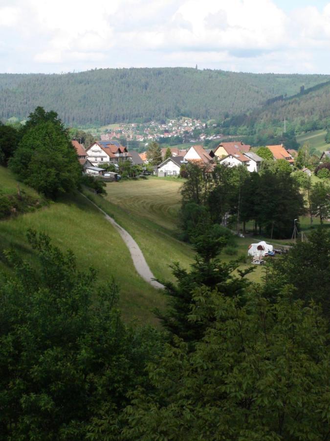 Apartmán Haus Schneider Baiersbronn Exteriér fotografie